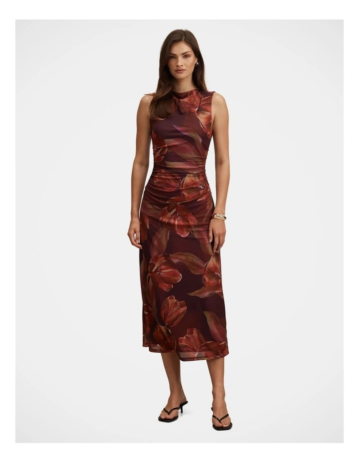 Allegra Mesh Midi Dress in Multi image 1