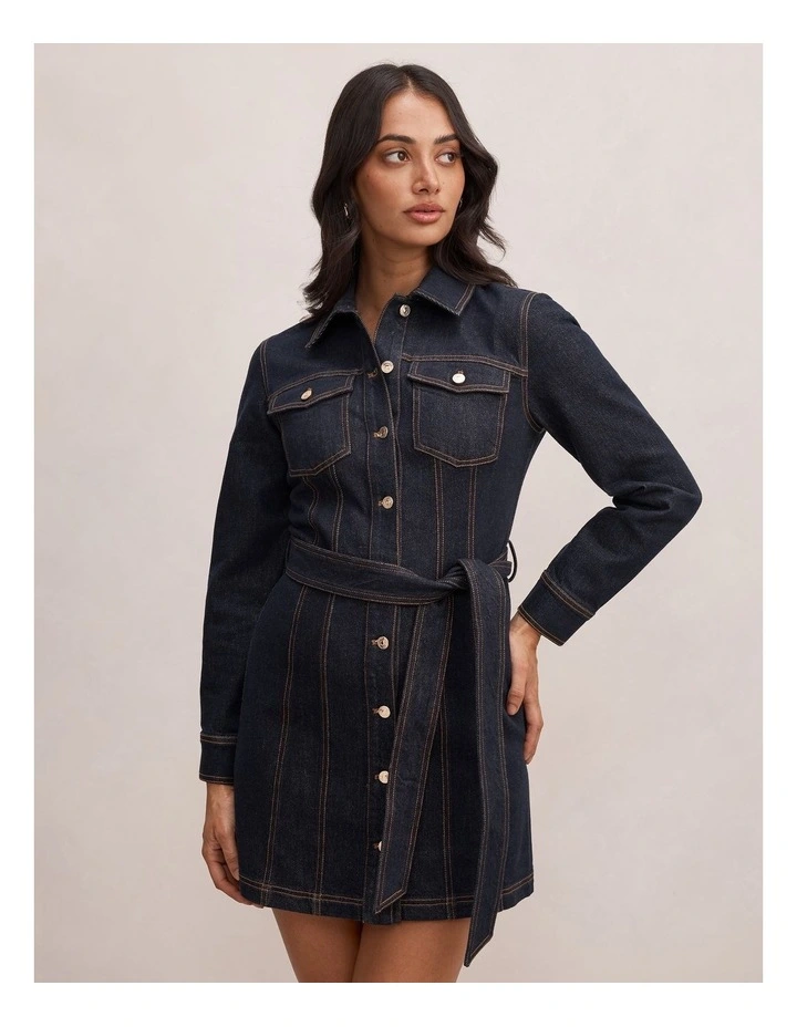 Jayden Denim Dress in Blue image 3