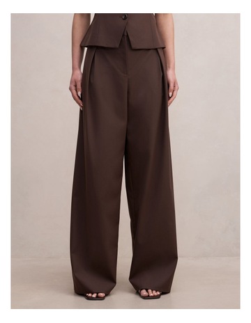 Chocolate Suit colour