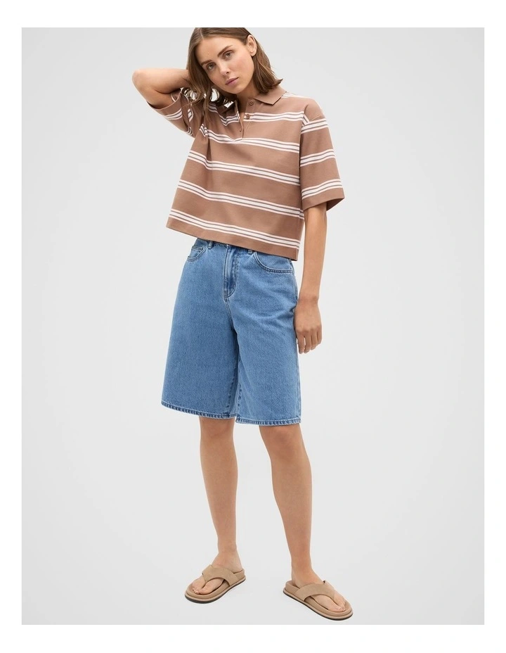 Stripe Boxy Polo in Nutmeg Stripe image 4