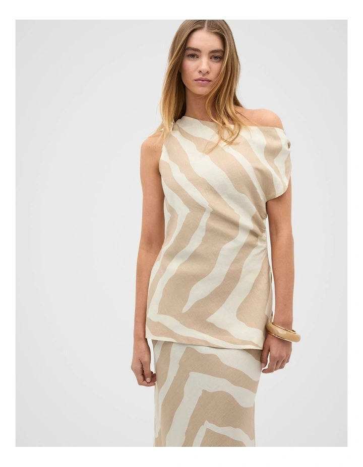 Asymmetric Top in Multi image 1