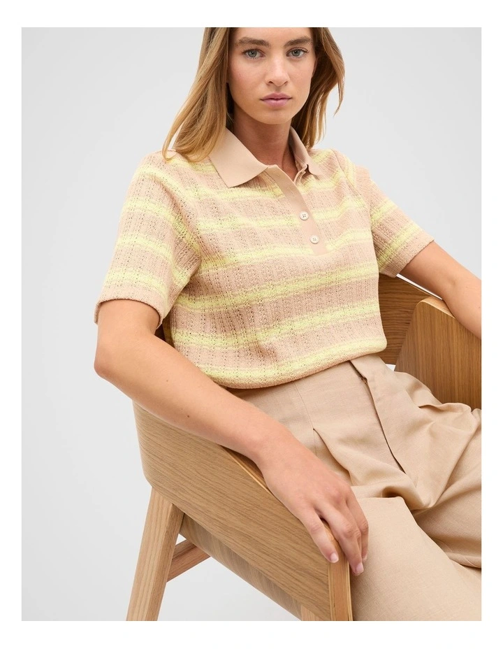 Textured Stripe Polo in Lemongrass Stripe image 1