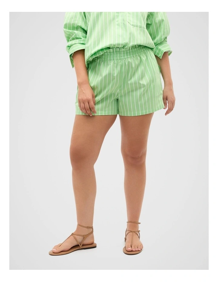 Cotton Stripe Short in Apple Green Stripe image 1