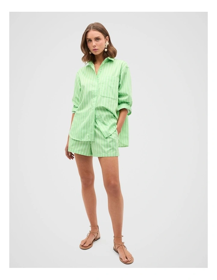 Cotton Stripe Short in Apple Green Stripe image 4