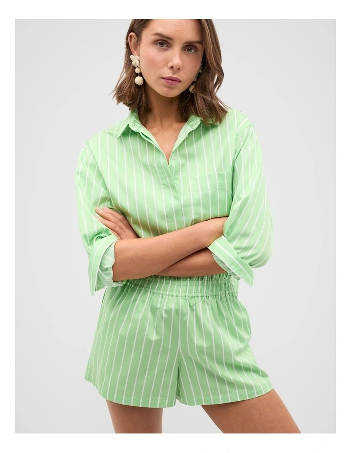 Cotton Stripe Short in Apple Green Stripe image 5