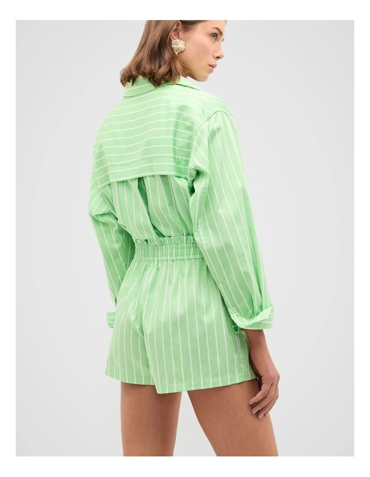 Cotton Stripe Short in Apple Green Stripe image 6