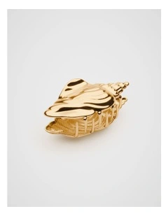 Conch Shell Claw in Gold