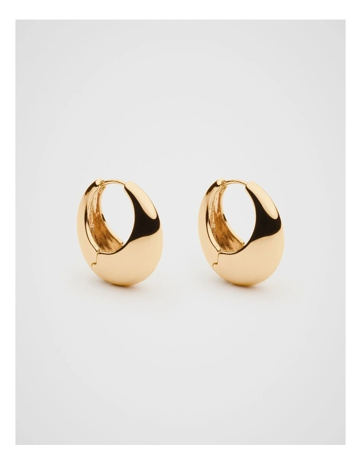 Circle Hoop Earrings in Gold image 1
