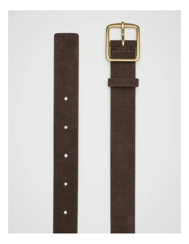 Abby Classic Suede Belt in Chocolate Suede image 3