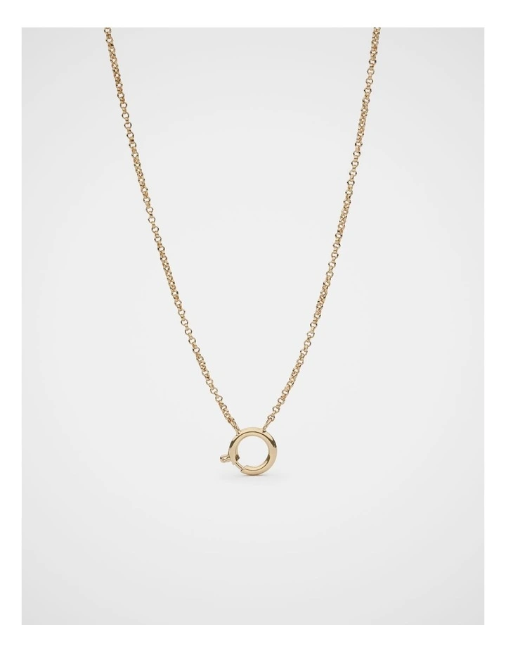 The Charm Collection Necklace in Gold image 1