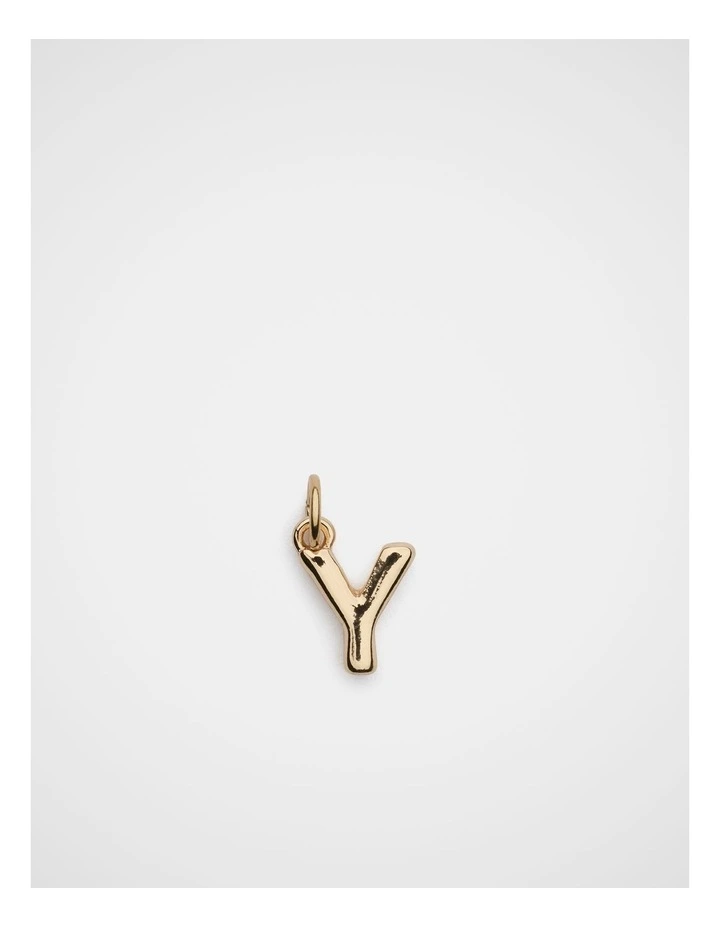 The Charm Collection Letter in Y image 1