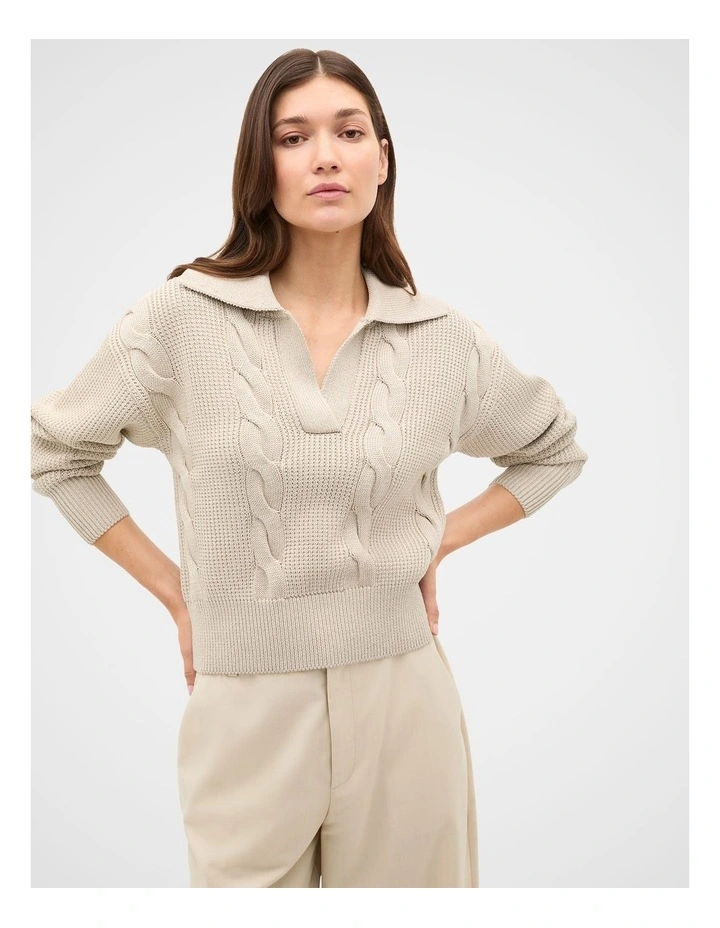 Cotton Textured Cable Knit image 1