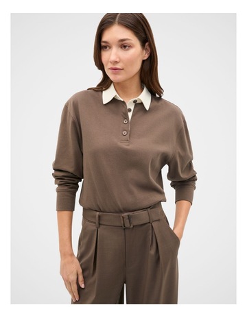 Chestnut colour