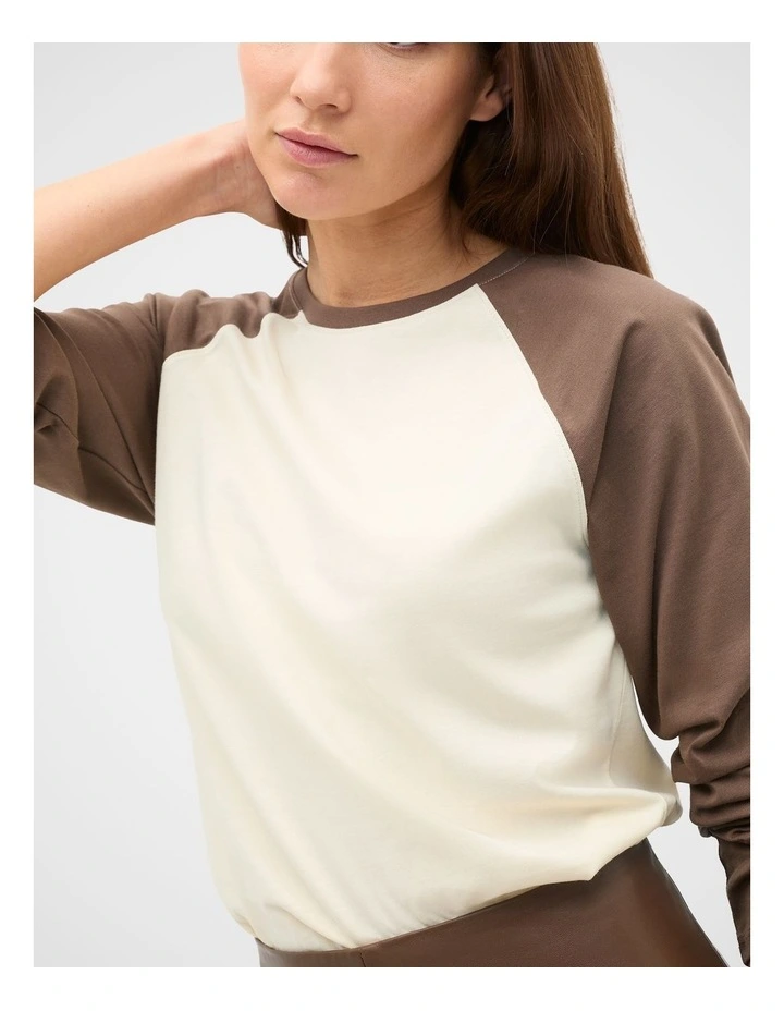 Spliced Raglan Long Sleeve Top image 4