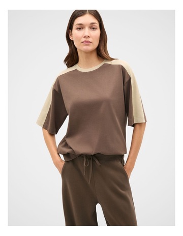 Chestnut colour