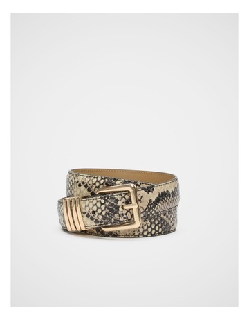 Snake Print colour