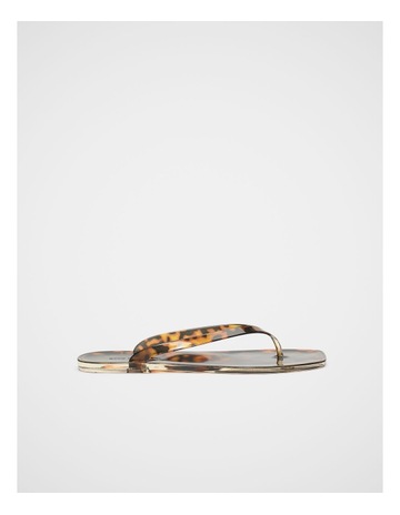 Tortoise Shell colour