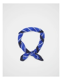 Large Multi Stripe Scarf in Sapphire Blue