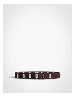 Peyton Eyelet Belt in Espresso