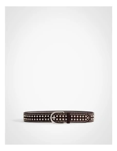 Riley Studded Belt in Espresso