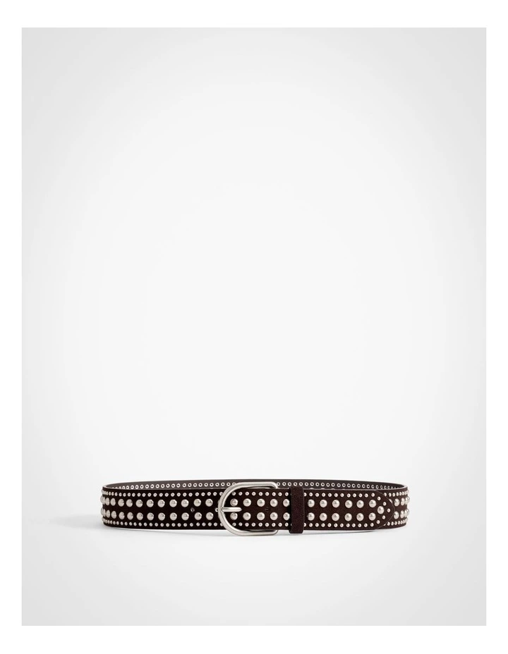 Riley Studded Belt in Espresso image 1