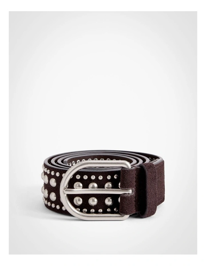 Riley Studded Belt in Espresso image 3