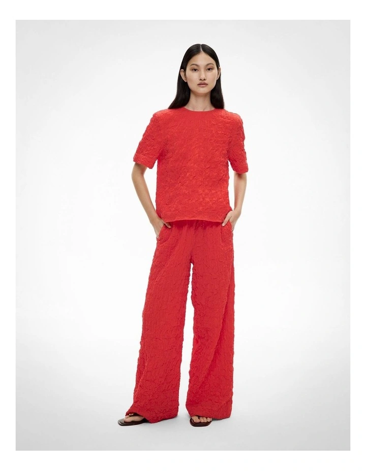 Crinkle Pants in Flame image 2