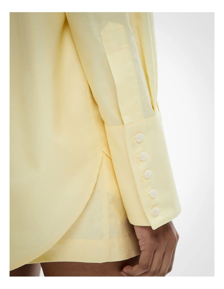 Cotton Oxford Shirt in Lemonade image 4