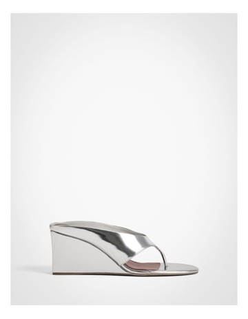 Silver colour