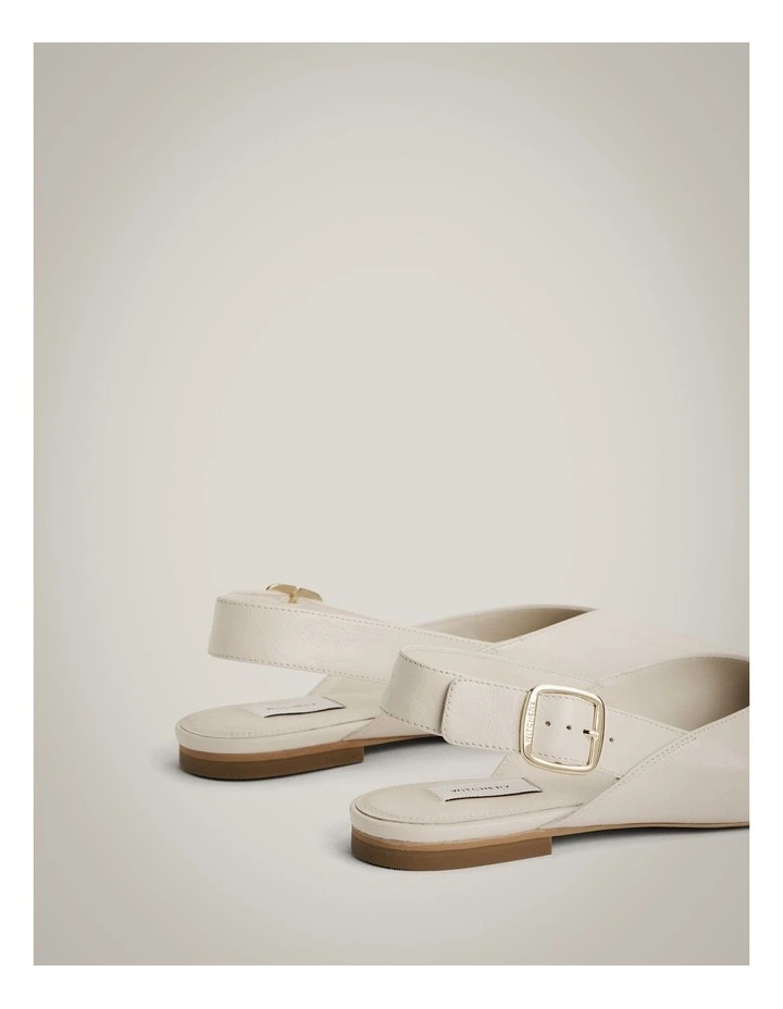 Daisy Flats in Chalk image 6