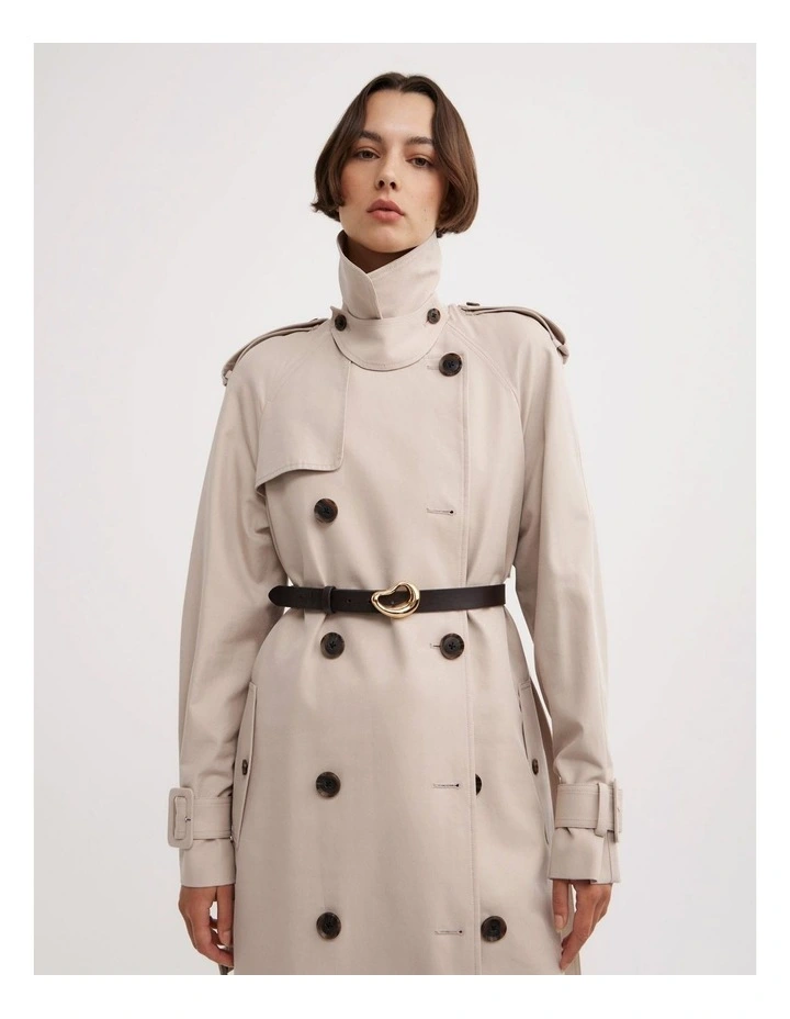 Ollie Organic Belt in Espresso image 2