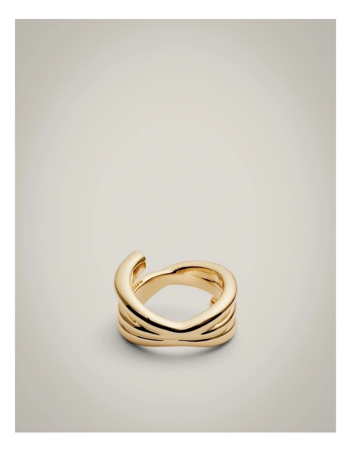 Rumi Ring in Gold image 4