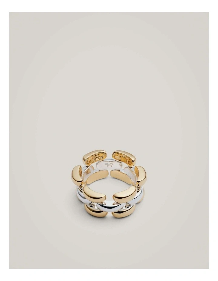 Tabi Ring in Mixed Metal image 1