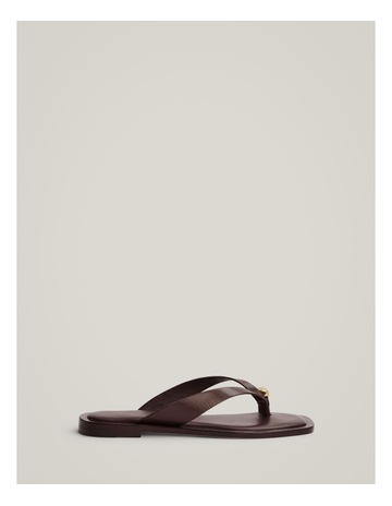 Espresso colour