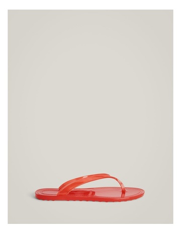 Scarlet colour