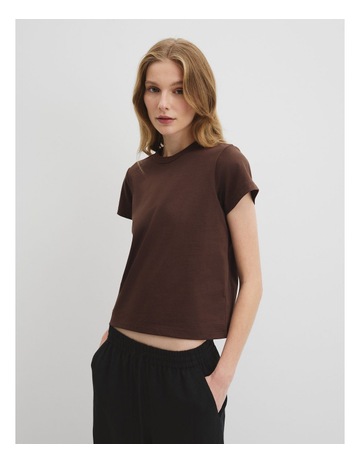 Cocoa colour