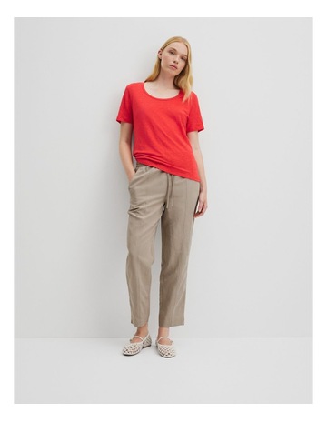 Vivid Red colour