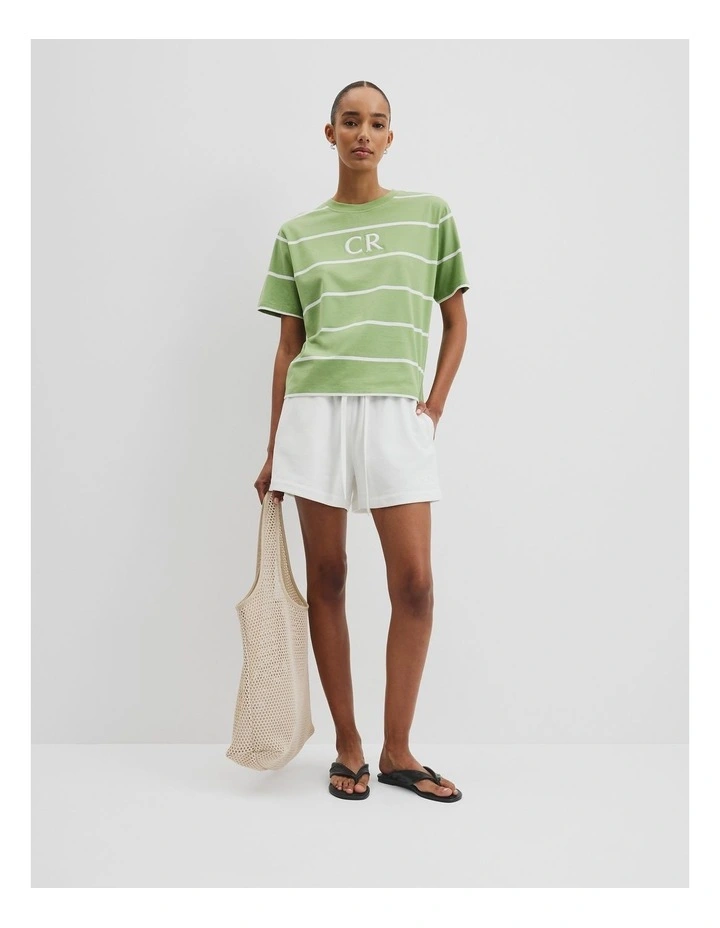 Australian Cotton Logo T-shirt in Kiwi Stripe image 3