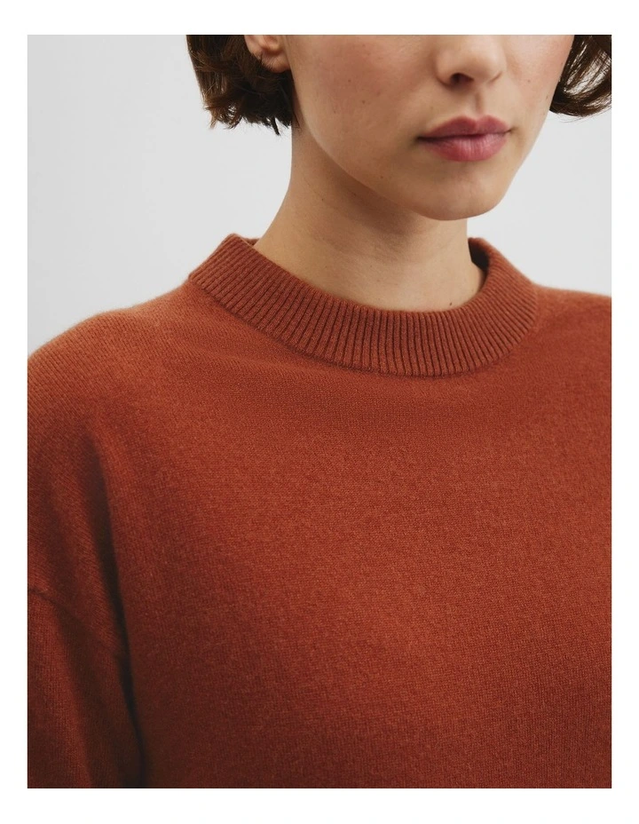 Tipped Crew Neck Knit in Redwood image 2