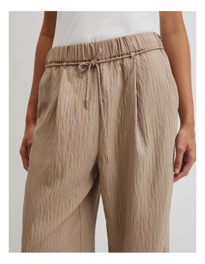 Pinstripe Pant in Camel Stripe image 2