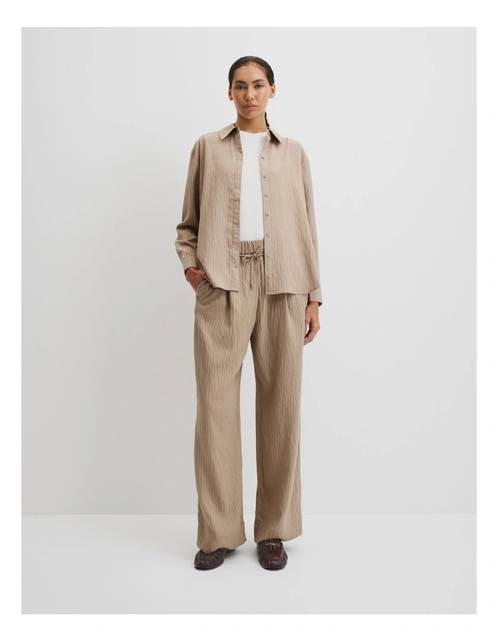 Pinstripe Shirt in Camel Stripe image 1