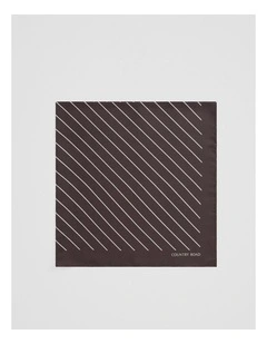Silk Stripe Scarf in Chocolate