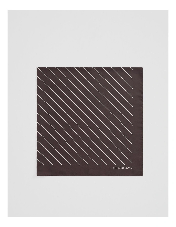Silk Stripe Scarf in Chocolate image 1