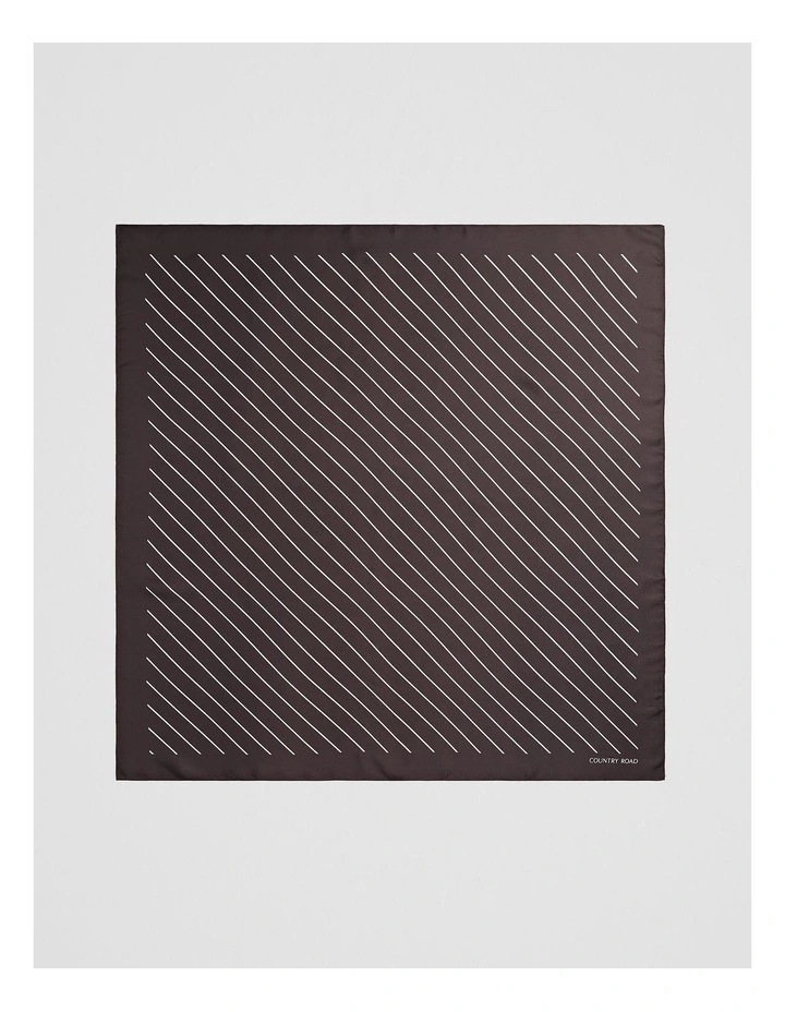 Silk Stripe Scarf in Chocolate image 3