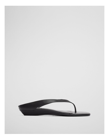 Black colour