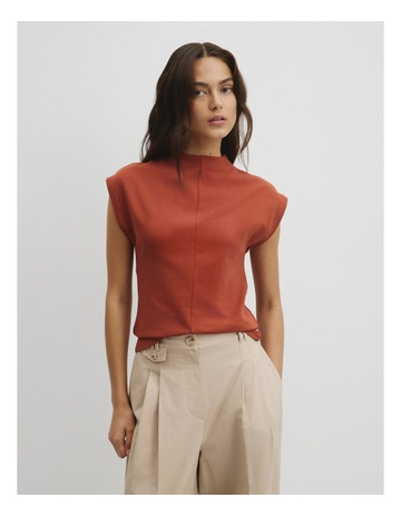 Burnt Sienna colour