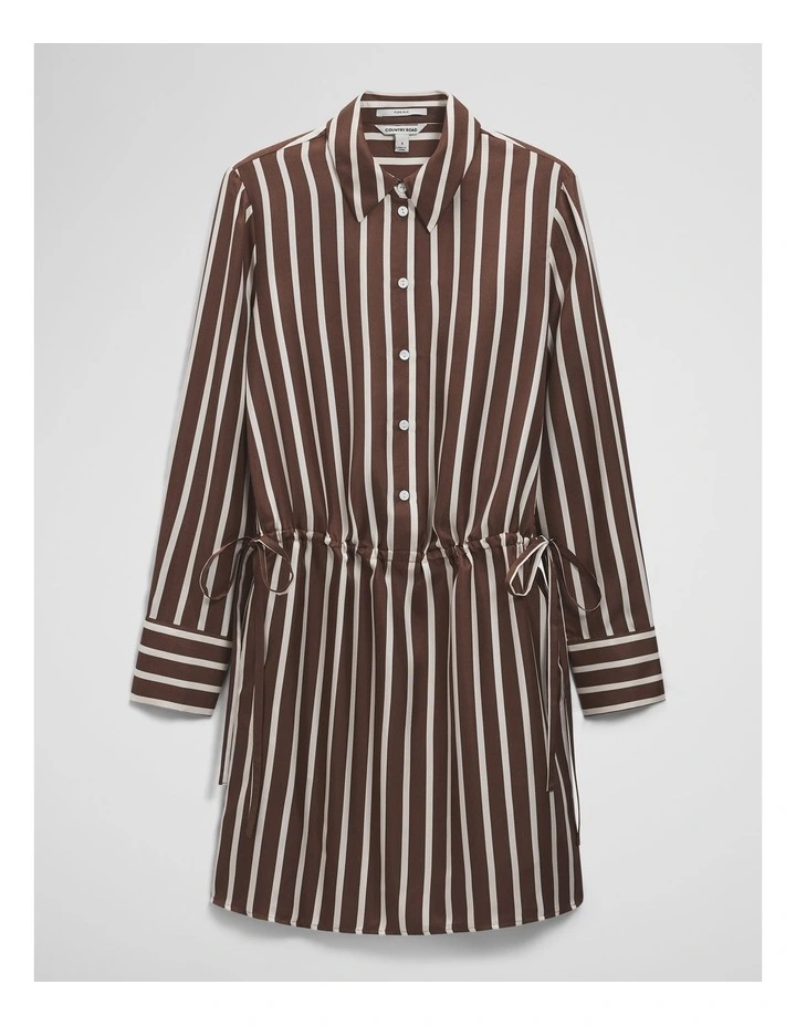 Stripe Gather Mini Dress in Carob Stripe image 2