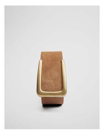 Camel colour