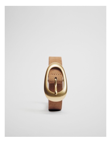 Camel colour