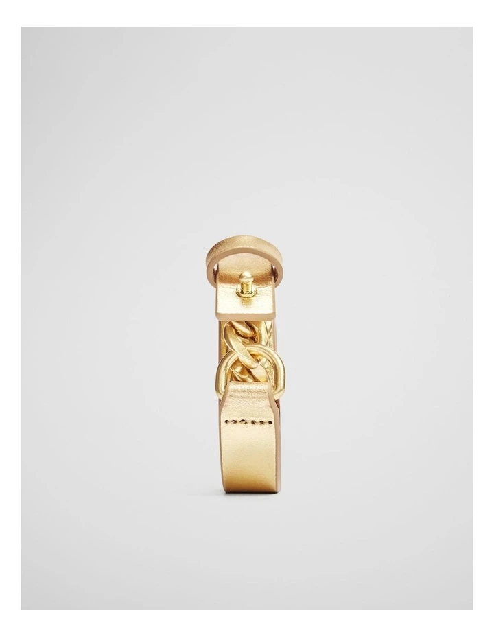 Violet Belt in Gold image 1
